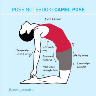 Yoga Poses | Jason Crandell Vinyasa Yoga Method